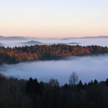 Nebelberg In * Freyung