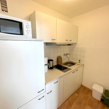 Flat Roswitha With Sauna In Apartment