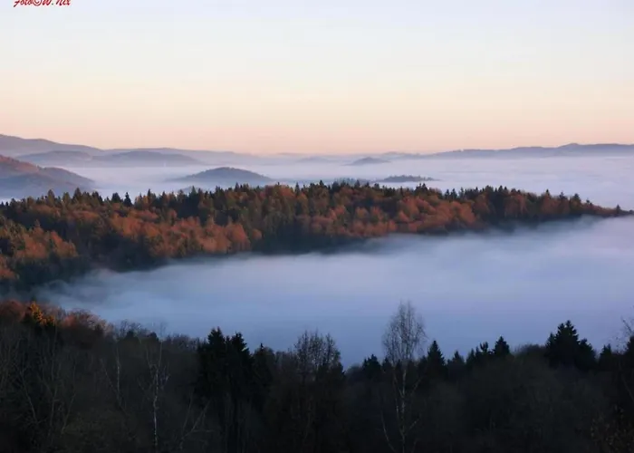 Nebelberg In * Freyung